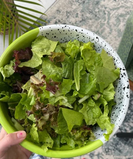 Miska emaliowana duża zielona